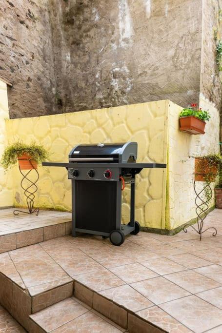 E"Stein 3 Zkb Terrasse Apartamento Coblença Exterior foto